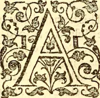 An illustration from The history of the world, commonly called the Naturall historie of C. Plinius Secundus (1634)