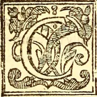 An illustration from The history of the world, commonly called the Naturall historie of C. Plinius Secundus (1634)