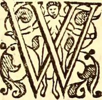 An illustration from The history of the world, commonly called the Naturall historie of C. Plinius Secundus (1634)
