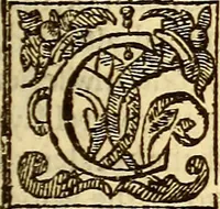 An illustration from The history of the world, commonly called the Naturall historie of C. Plinius Secundus (1634)