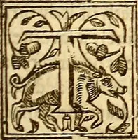 An illustration from The history of the world, commonly called the Naturall historie of C. Plinius Secundus (1634)