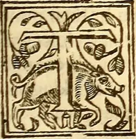 Picture 29 of 34 from The history of the world, commonly called the Naturall historie of C. Plinius Secundus (1634), leaf 500