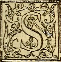 An illustration from The history of the world, commonly called the Naturall historie of C. Plinius Secundus (1634)