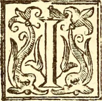 An illustration from The history of the world, commonly called the Naturall historie of C. Plinius Secundus (1634)