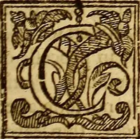 An illustration from The history of the world, commonly called the Naturall historie of C. Plinius Secundus (1634)