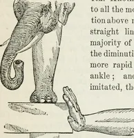 Picture 16 of 51 from The history and rudiments of architecture; embracing, I. The orders of architecture; II. Architectural styles of various countries; III. The nature and principles of design in architecture; and, IV. An accurate and complete glossary of architectural terms .. (1853), leaf 168