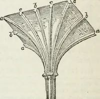 An illustration from The history and rudiments of architecture; embracing, I. The orders of architecture; II. Architectural styles of various countries; III. The nature and principles of design in architecture; and, IV. An accurate and complete glossary of architectural terms .. (1853)