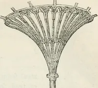 Picture 35 of 51 from The history and rudiments of architecture; embracing, I. The orders of architecture; II. Architectural styles of various countries; III. The nature and principles of design in architecture; and, IV. An accurate and complete glossary of architectural terms .. (1853), leaf 228
