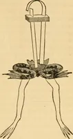 An illustration from History, theory, and practice of the electric telegraph (1866)