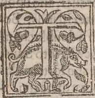 An illustration from The history of the world, commonly called the Naturall historie of C. Plinius Secundus (1634)
