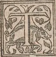 Picture 57 of 69 from The history of the world, commonly called the Naturall historie of C. Plinius Secundus (1634), leaf 417