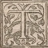 Picture 59 of 69 from The history of the world, commonly called the Naturall historie of C. Plinius Secundus (1634), leaf 441