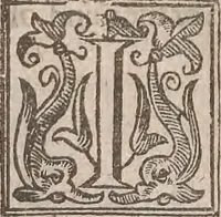 An illustration from The history of the world, commonly called the Naturall historie of C. Plinius Secundus (1634)