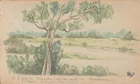 Picture 5 of 8 from H. Letrillard St. Elme, garde principal de la Garde indigene congo-francais : sketchbook 1904-1905 (1904), leaf 39