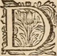 An illustration from H.L. Spieghels Hertspieghel en andere zede-schriften : meest noyt voor dezen gedrukt (1694)