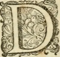 An illustration from H.L. Spieghels Hertspieghel en andere zede-schriften : meest noyt voor dezen gedrukt (1694)