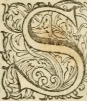 An illustration from H.L. Spieghels Hertspieghel en andere zede-schriften : meest noyt voor dezen gedrukt (1694)