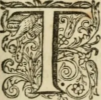 An illustration from H.L. Spieghels Hertspieghel en andere zede-schriften : meest noyt voor dezen gedrukt (1694)