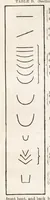 Picture 11 of 18 from Hobbies Weekly No. 11 (1895), leaf 12