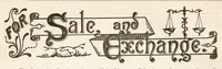 An illustration from Hobbies Weekly No. 12 (1896)