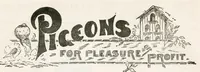An illustration from Hobbies Weekly No. 13 (1896)