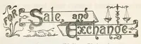 Picture 19 of 20 from Hobbies Weekly No. 15 (1896), leaf 22