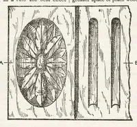 Picture 5 of 20 from Hobbies Weekly No. 15 (1896), leaf 4
