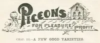 Picture 7 of 20 from Hobbies Weekly No. 15 (1896), leaf 9