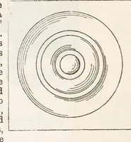 An illustration from Hobbies Weekly No. 16 (1896)