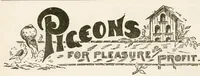 Picture 15 of 20 from Hobbies Weekly No. 19 (1896), leaf 19