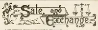 Picture 19 of 20 from Hobbies Weekly No. 19 (1896), leaf 22