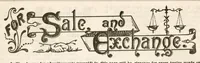 An illustration from Hobbies Weekly No. 22 (1896)