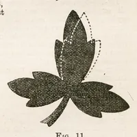 An illustration from Hobbies Weekly No. 4 (1895)