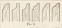 Picture 8 of 20 from Hobbies Weekly No. 4 (1895), leaf 7