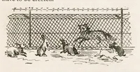 Picture 17 of 20 from Hobbies Weekly No. 5 (1895), leaf 20
