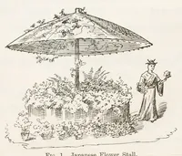 Picture 2 of 20 from Hobbies Weekly No. 6 (1895), leaf 1