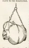 Picture 18 of 20 from Hobbies Weekly No. 6 (1895), leaf 20