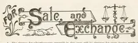 Picture 17 of 20 from Hobbies Weekly No. 7 (1895), leaf 19