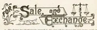 Picture 17 of 20 from Hobbies Weekly No. 8 (1895), leaf 18