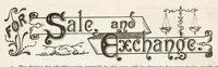 Picture 16 of 18 from Hobbies Weekly No. 9 (1895), leaf 21
