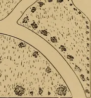 An illustration from Hobbs's architecture: containing designs and ground plans for villas, cottages and other edifices, both suburban and rural, adapted to the United States. With rules for criticism, and introduction (1876)