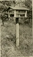 Picture 90 of 123 from Hodgson portable houses. (1916), leaf 49
