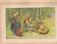 Picture 3 of 15 from Hoe Piggelmee Groot Werd (1923), leaf 12
