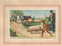 Picture 2 of 15 from Hoe Piggelmee Groot Werd (1923), leaf 9