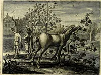 An illustration from Hof-gedachten, dat is, invallen, by gelegentheyt oft op't gesichte van boomen, planten, bloemen, kruyden, en diergelijcke aerdt-gewassen, verweckt, in't Buyten-leven (1655)
