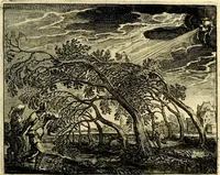 An illustration from Hof-gedachten, dat is, invallen, by gelegentheyt oft op't gesichte van boomen, planten, bloemen, kruyden, en diergelijcke aerdt-gewassen, verweckt, in't Buyten-leven (1655)
