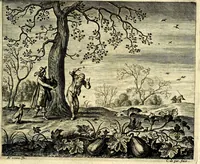 An illustration from Hof-gedachten, dat is, invallen, by gelegentheyt oft op't gesichte van boomen, planten, bloemen, kruyden, en diergelijcke aerdt-gewassen, verweckt, in't Buyten-leven (1655)