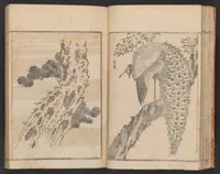 An illustration from Hokkei manga : shohen (1800)