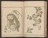 Picture 11 of 16 from Hokkei manga : shohen (1800), leaf 24