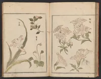 An illustration from Hokkei manga : shohen (1800)